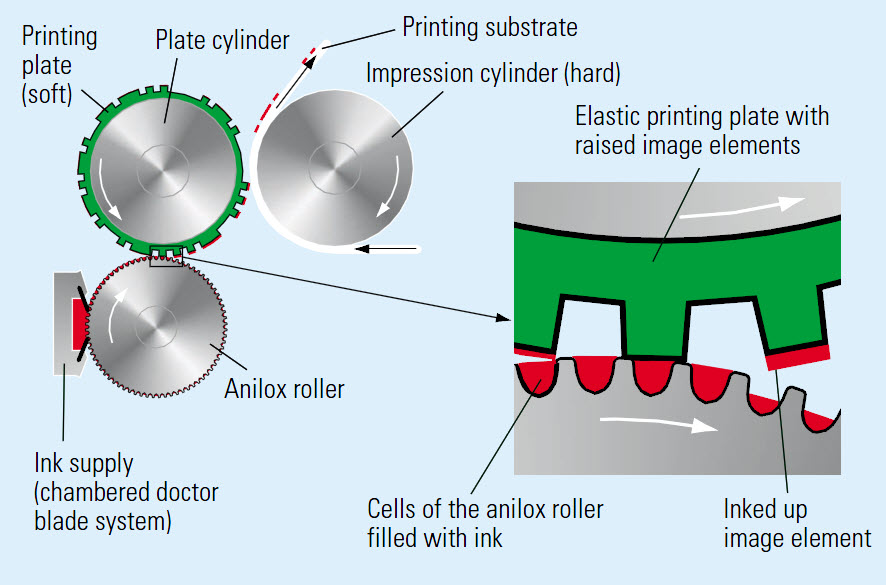 FLEXO PRINTING detail 3